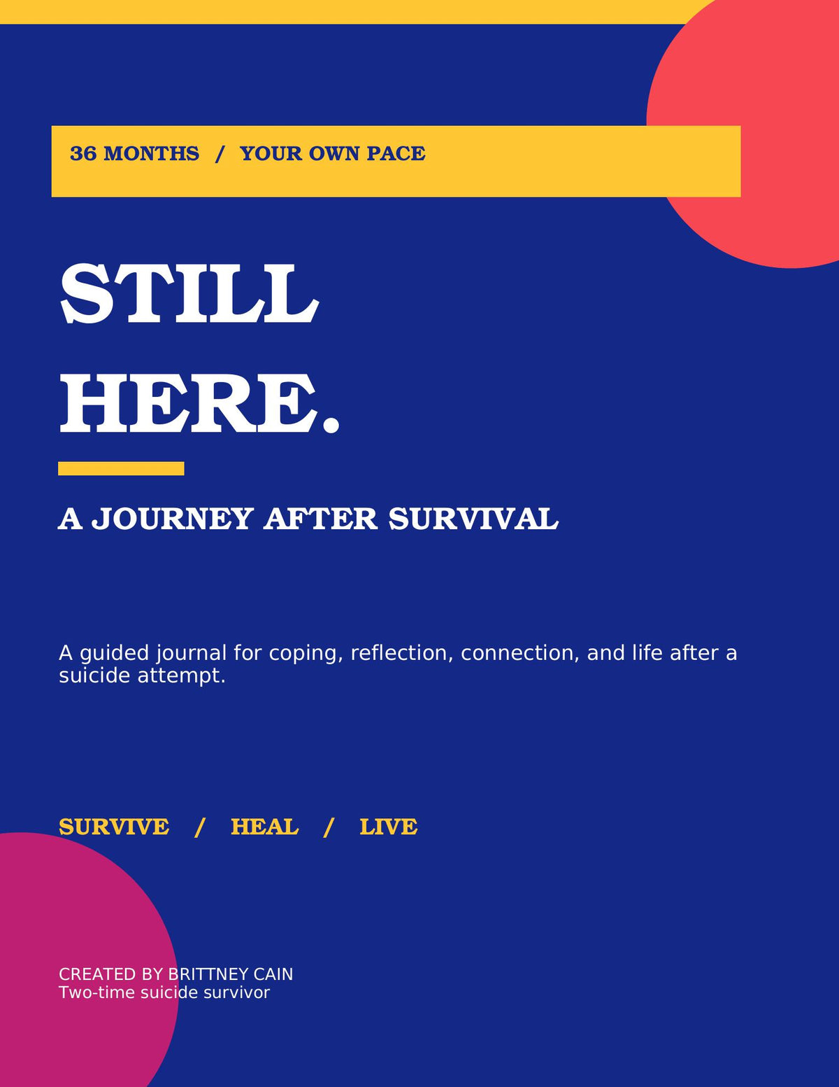 Still Here: Journey After Survival